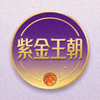 用户'紫金王朝'的头像
